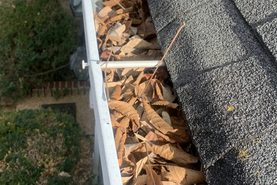 Gutter Cleaning Chester PA