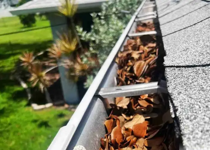 Gutter Cleaning Chester PA home page